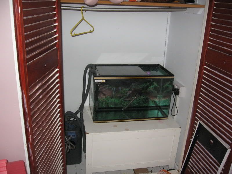 IMG_2266.jpg