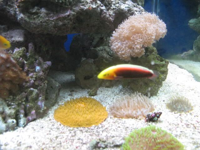 IMG_1819.jpg