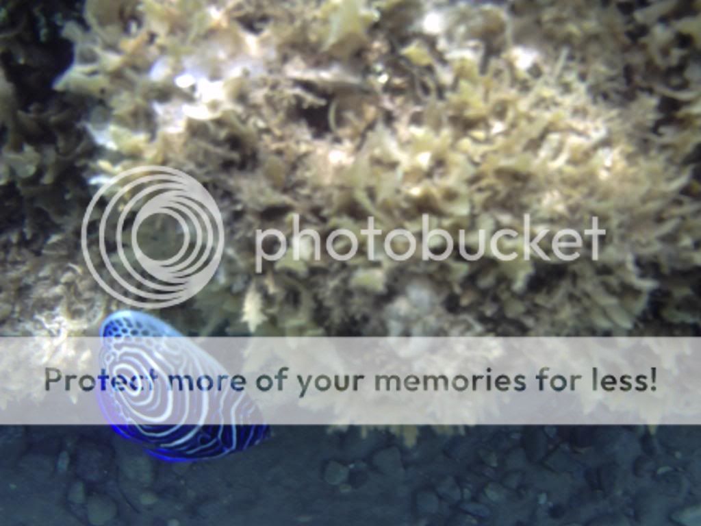 PICT0152.jpg