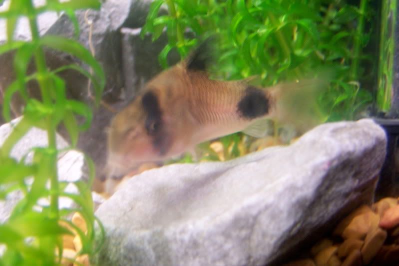 100_7643.jpg