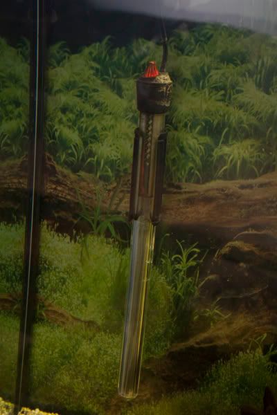tank8.jpg