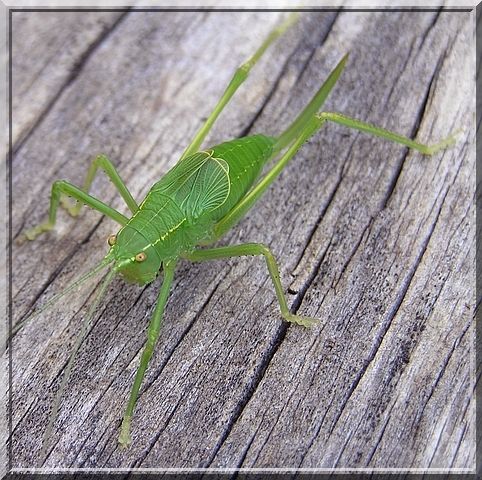 fbc841c6.jpg