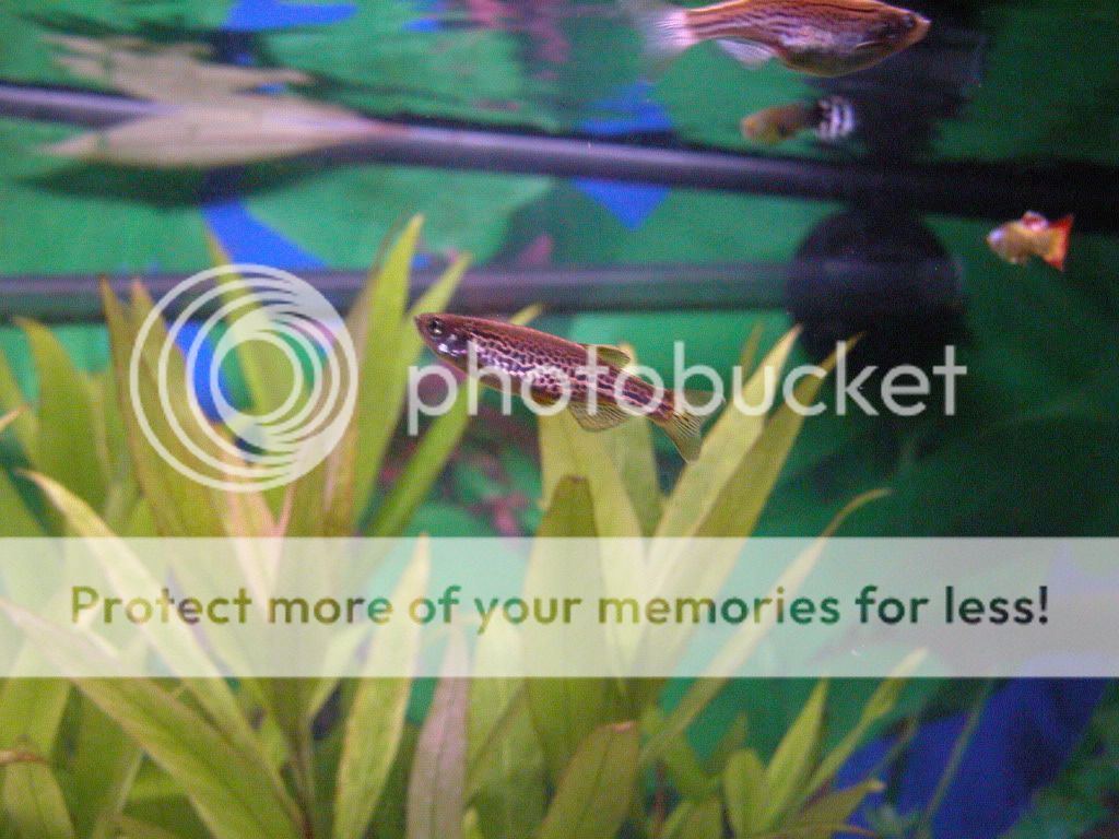 DSCN2937.jpg