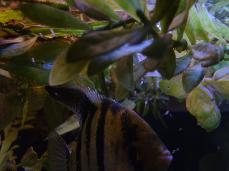 S5002858.jpg