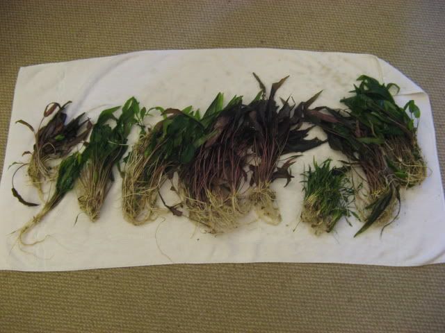 20090502010.jpg