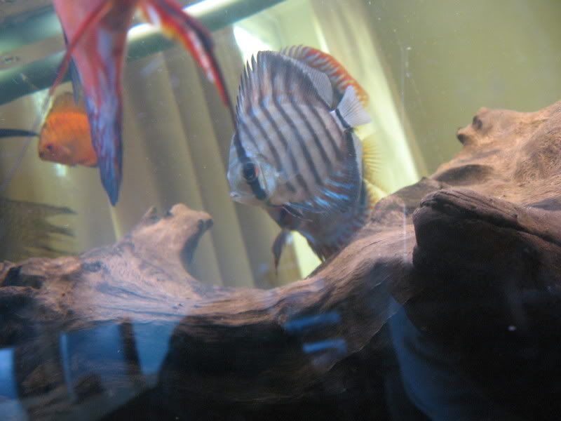 IMG_1435.jpg