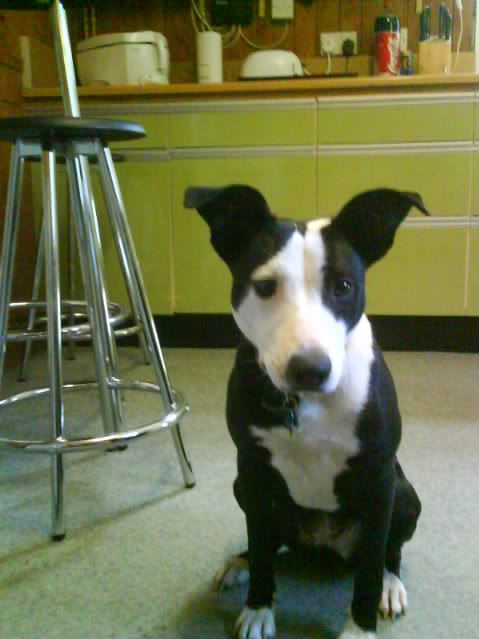 DSC00113.jpg