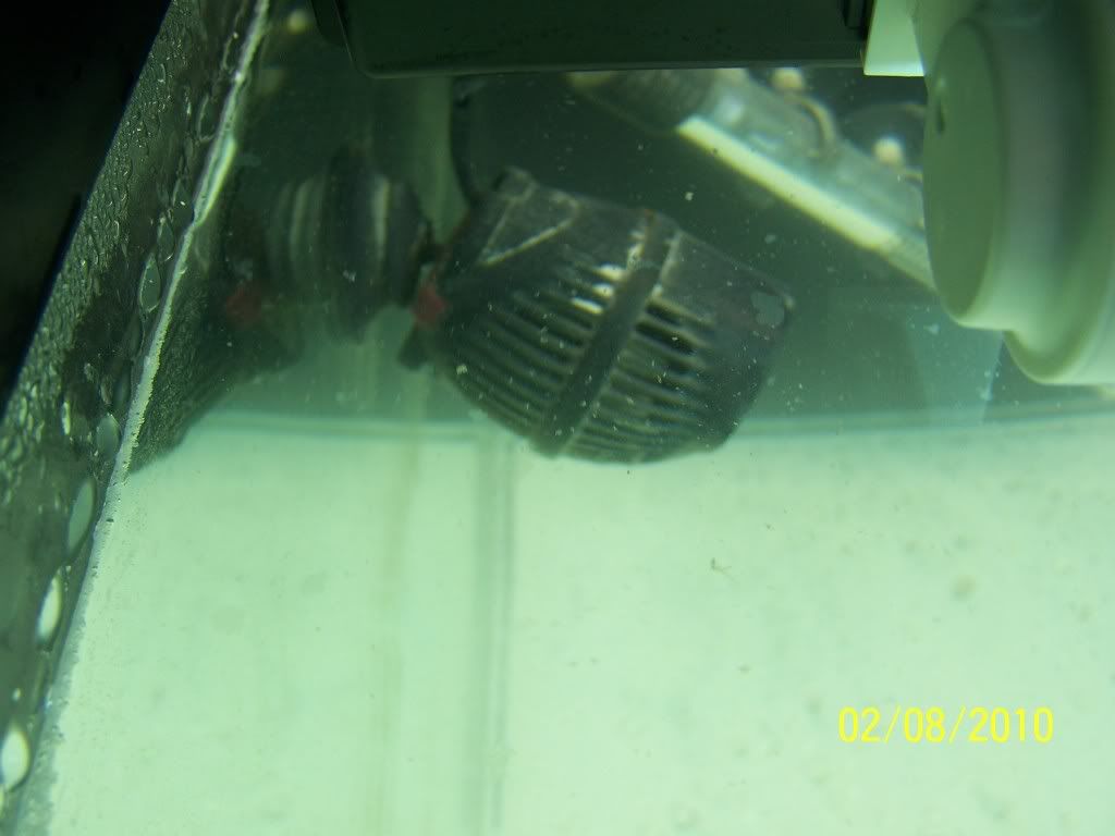 100_1345.jpg