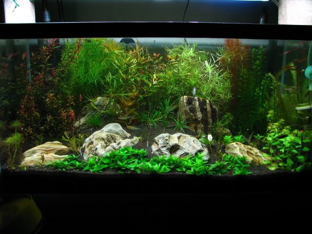 Picture010-8.jpg