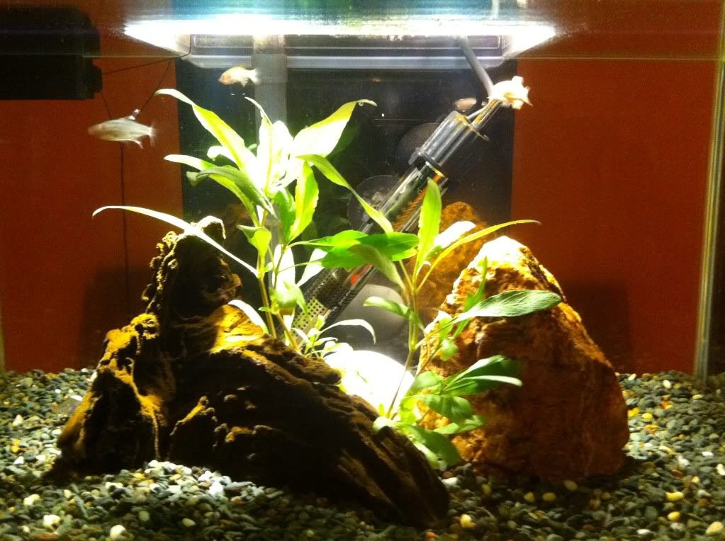 photo2.jpg