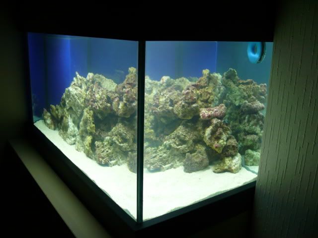 P1030326.jpg
