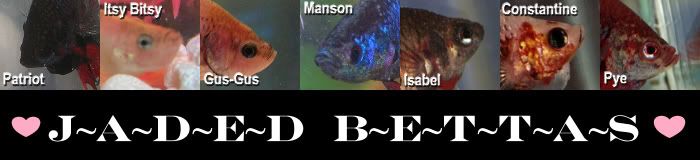 jadedbanner2.jpg