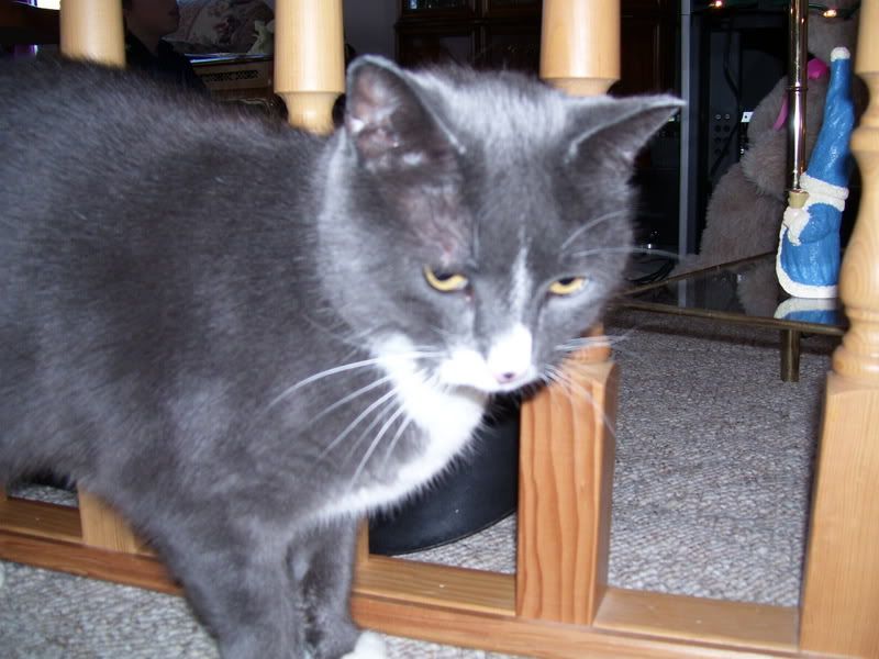 000_0061.jpg