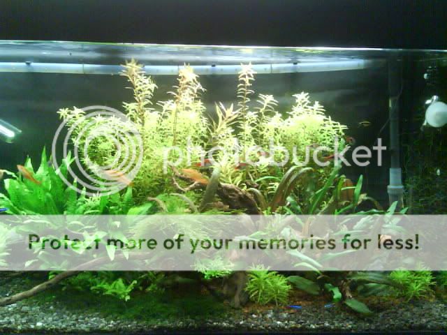 DSC00116.jpg