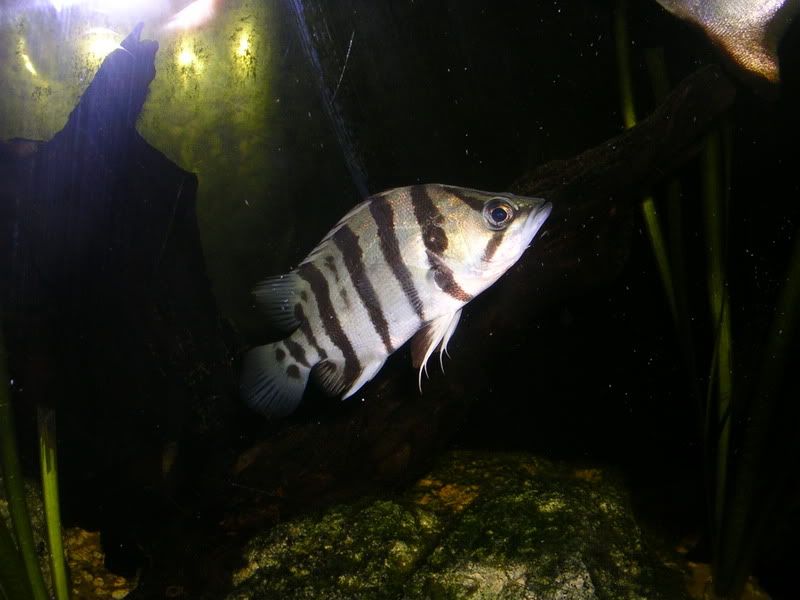 DSCN3786.jpg