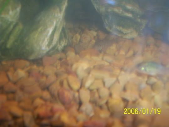 000_0778.jpg