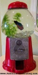 gumball-machine-fish-bowl-kristi-li.jpg
