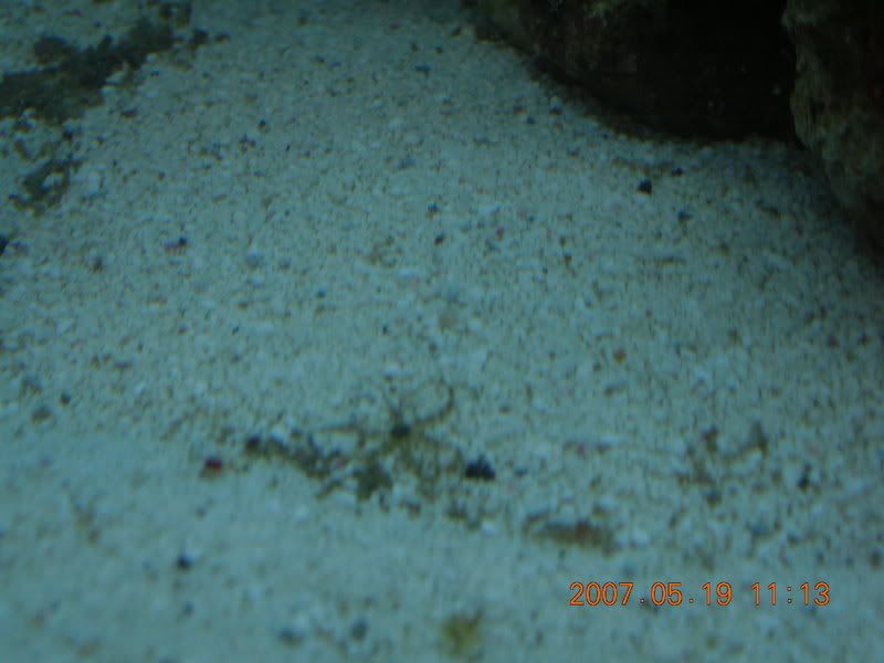 DSCN1736.jpg