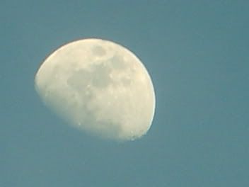 S5004899.jpg