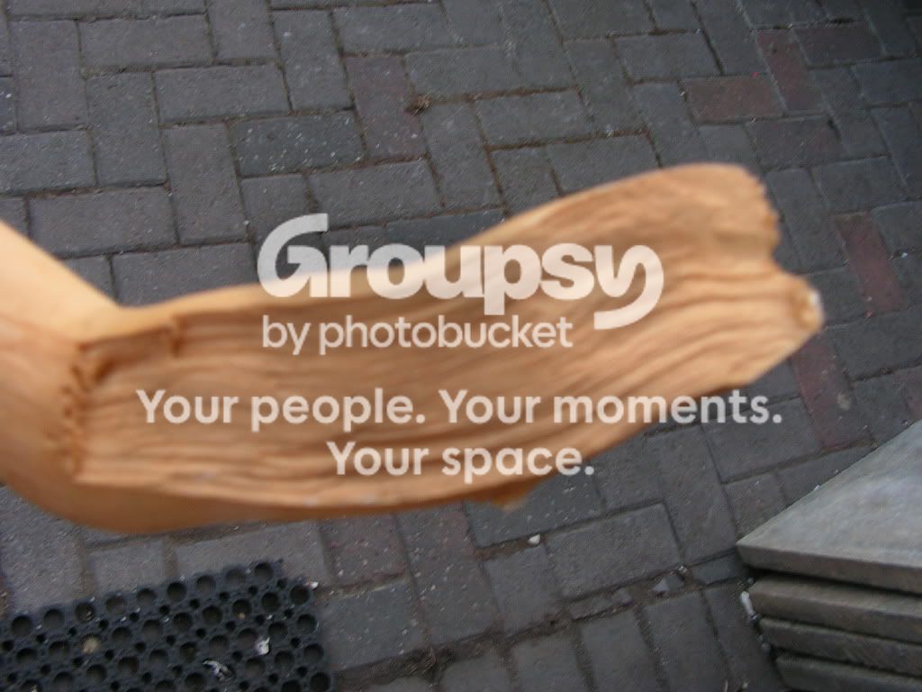 PICT0521.jpg