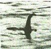 nessie1.jpg
