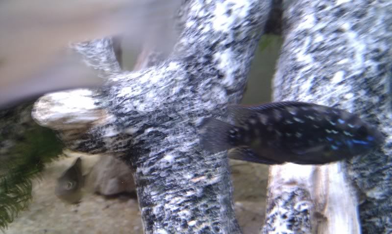 IMAG0659.jpg