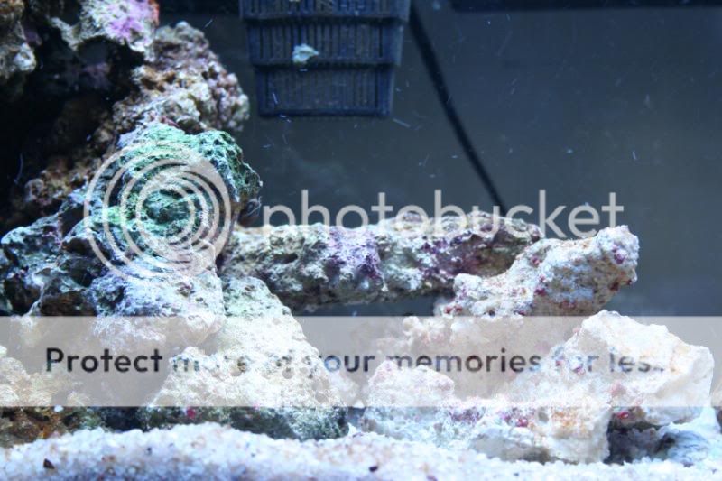 Picture015.jpg