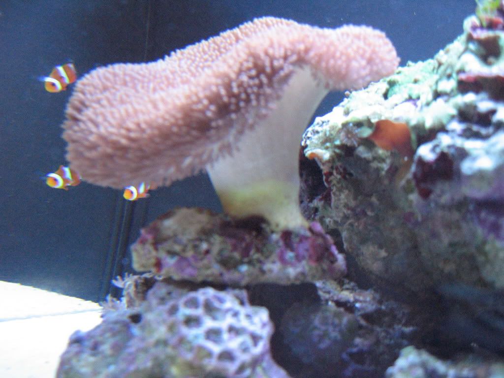 IMG_1829.jpg