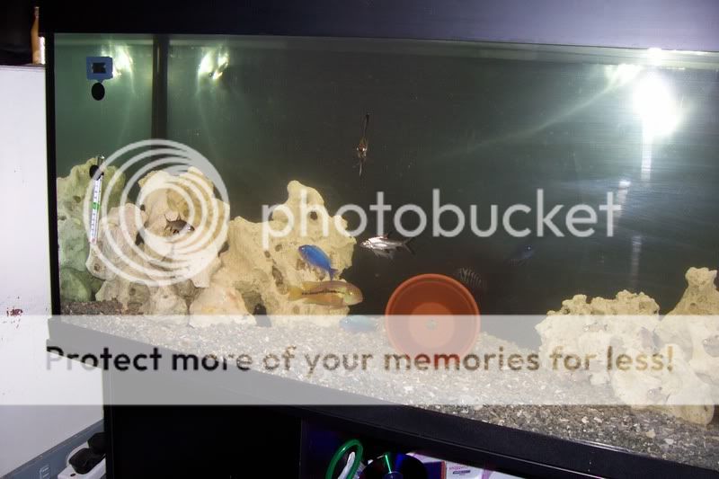 fishtank.jpg