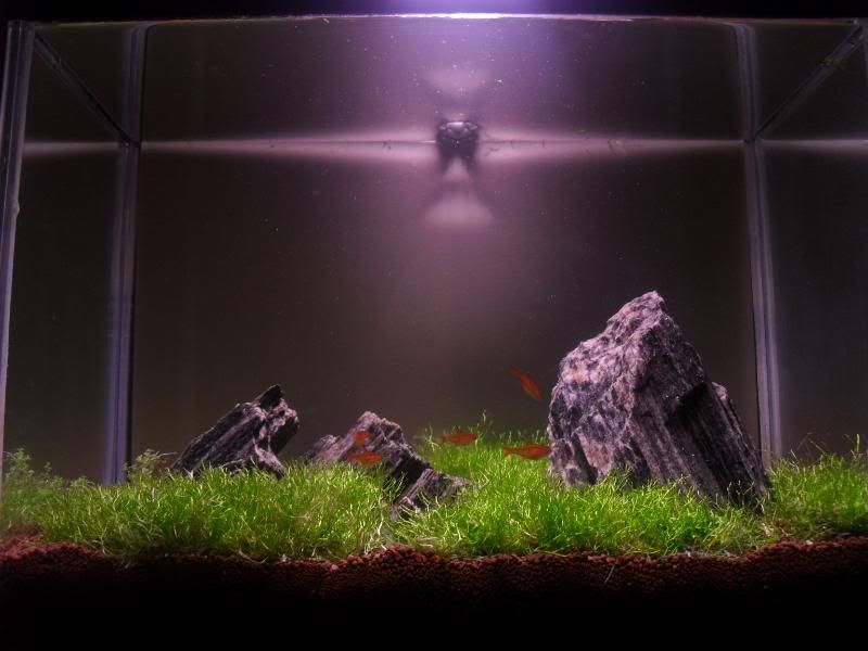 nanobackground4.jpg