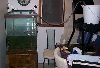 water2.jpg