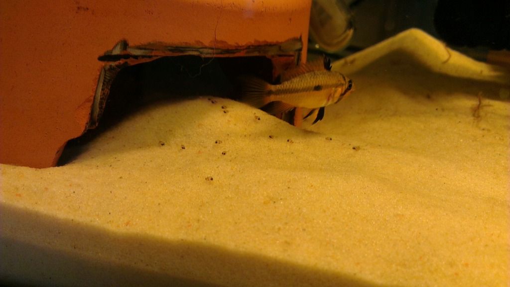 IMAG0018.jpg
