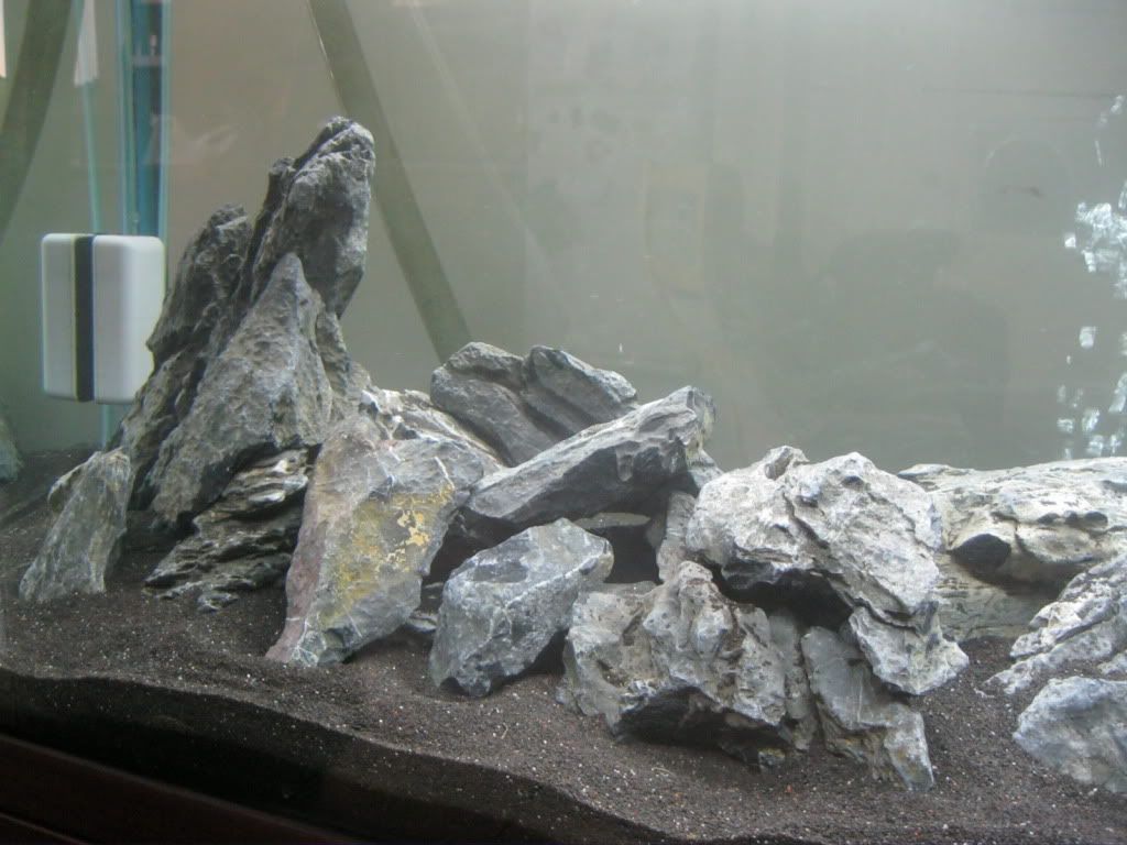 IMG_0135.jpg