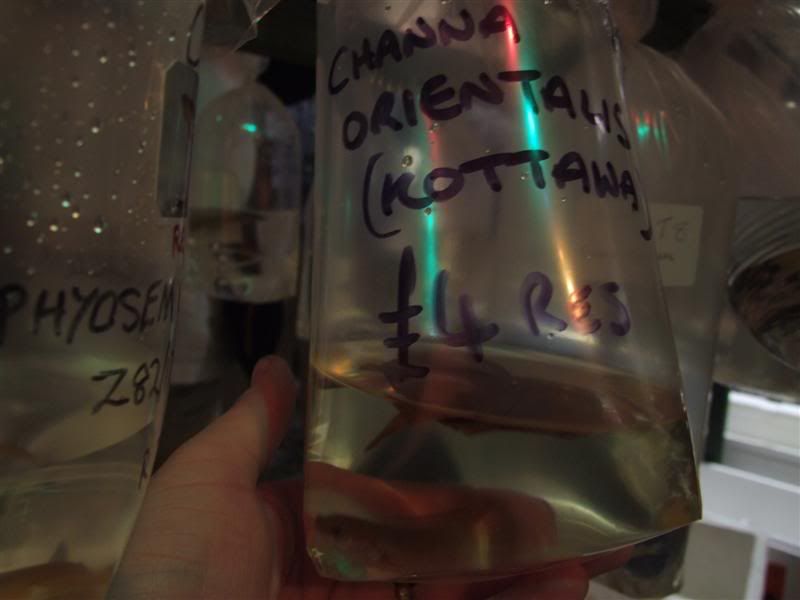 DSCF2512Medium.jpg