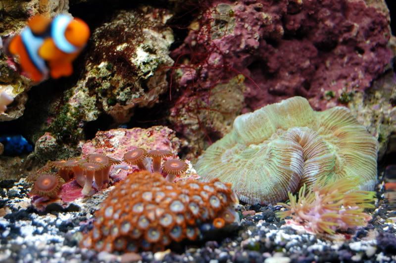 DSC_0087.jpg