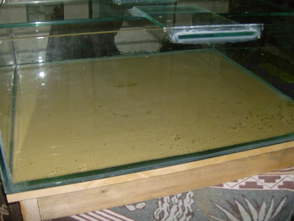 tankbuild009.jpg