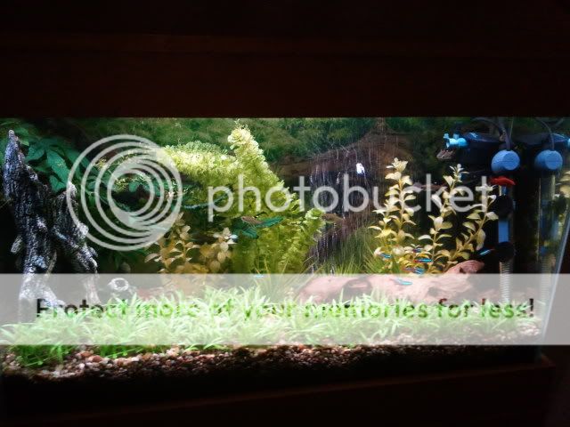 2012-04-12210411.jpg