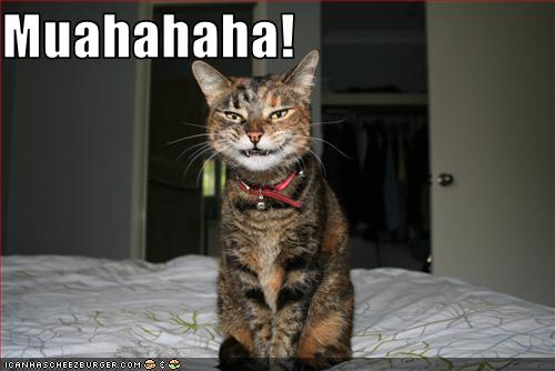 cat_evil_laugh.jpg
