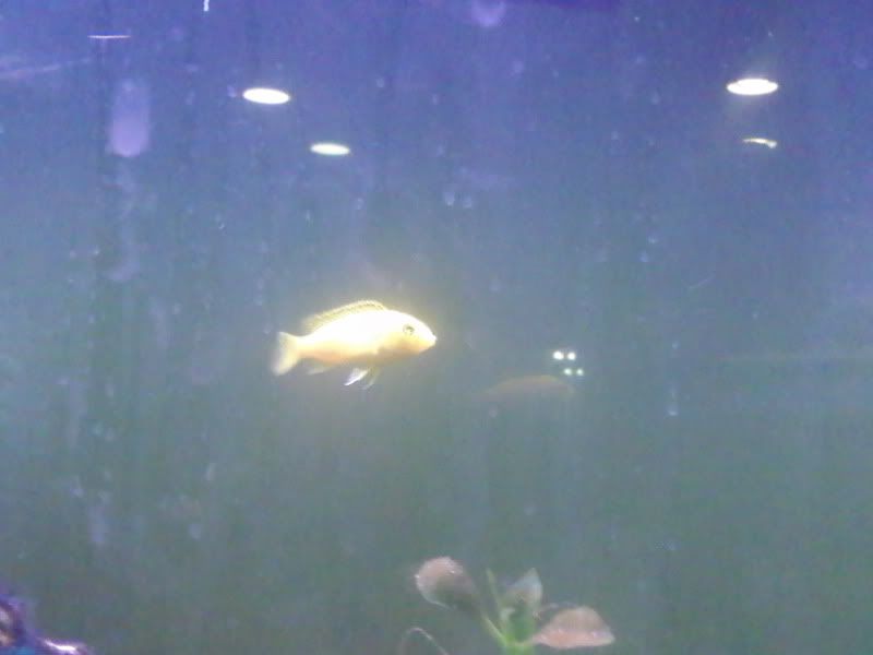 1028092054a.jpg
