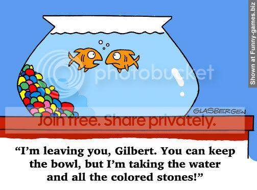 funny-fish-cartoon.jpg
