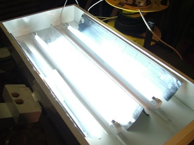 DSCF0740.jpg