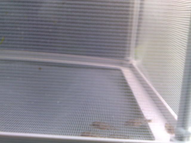 21012009126.jpg