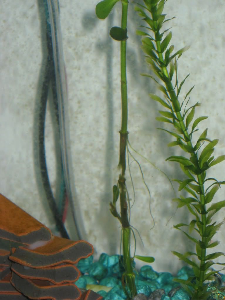 de12630f.jpg