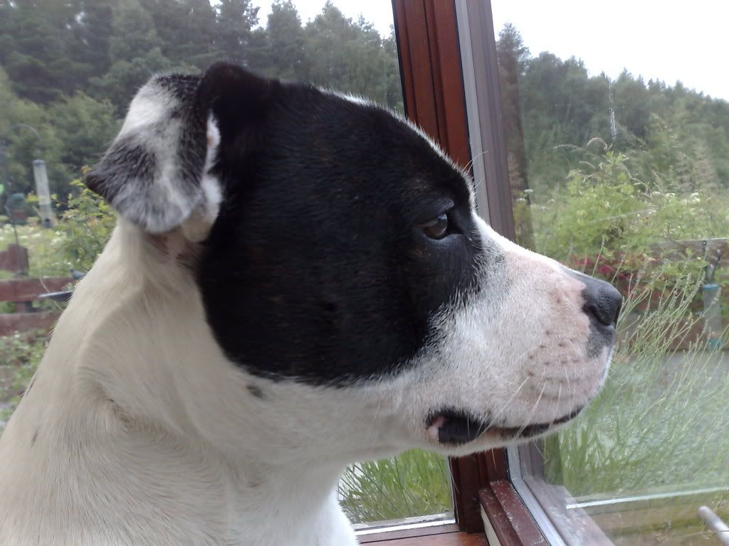 09072009846.jpg