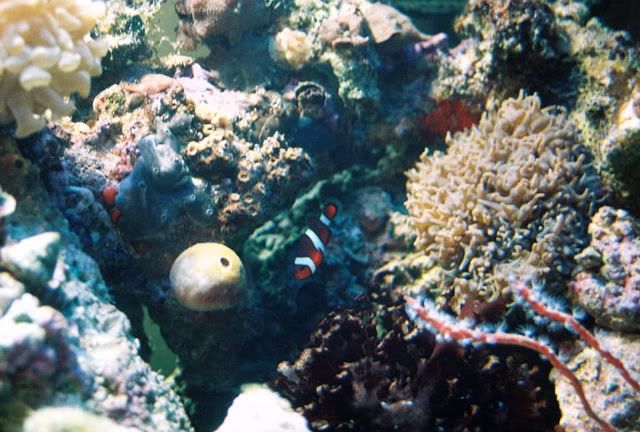 FL000009.jpg