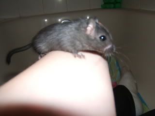 DSCF1337.jpg