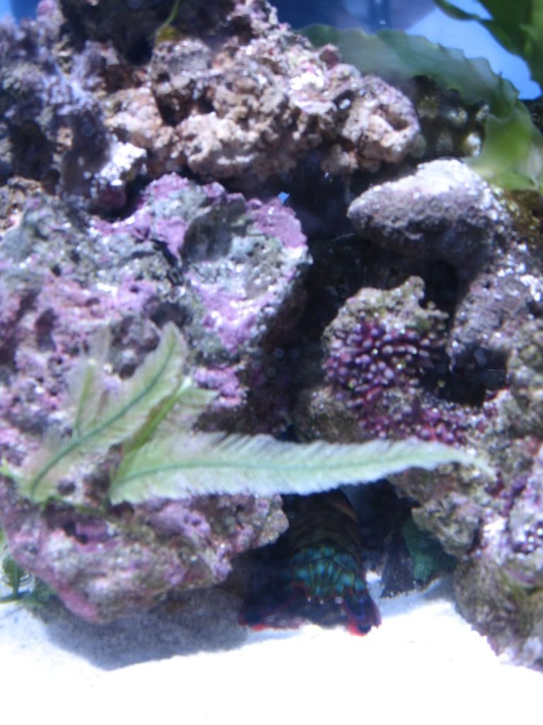 IMG_0044.jpg
