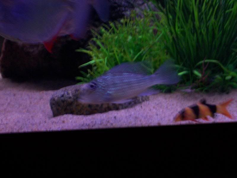 100_6059.jpg
