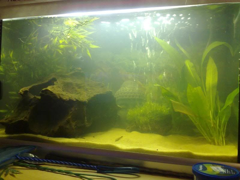 05012008355.jpg