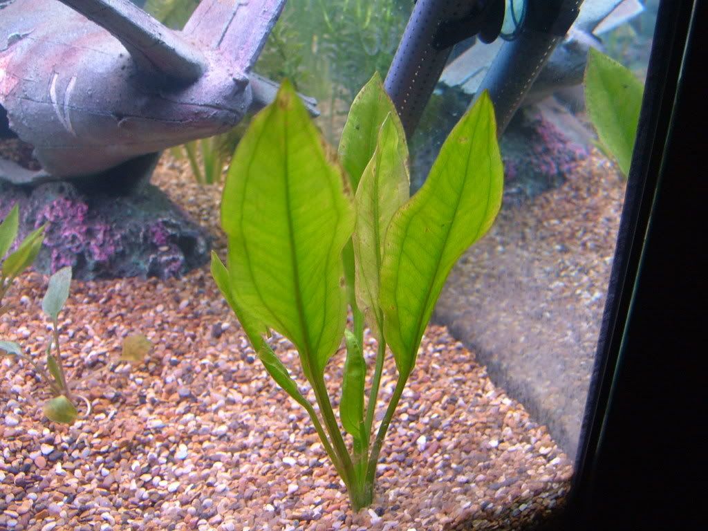 DSCF3827.jpg